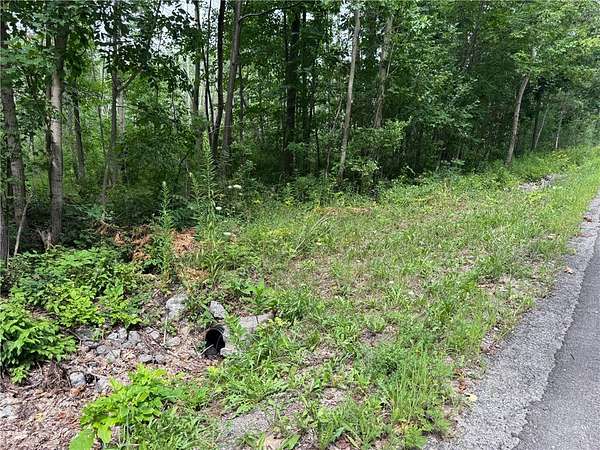 5 Acres of Residential Land for Sale in Conesus, New York