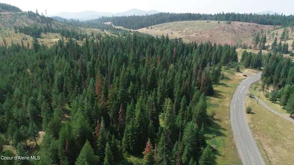 11.5 Acres of Land for Sale in Santa, Idaho