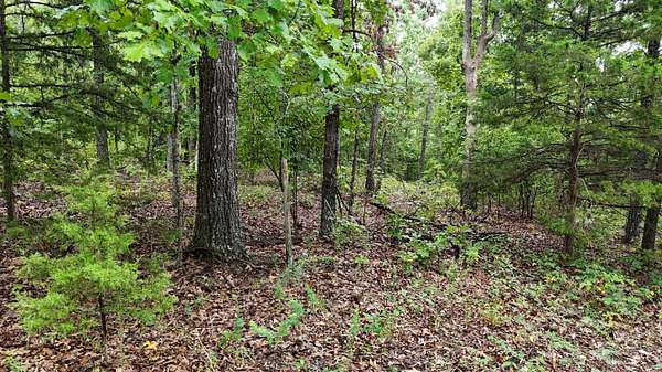 80 Acres of Recreational Land for Sale in Ava, Missouri