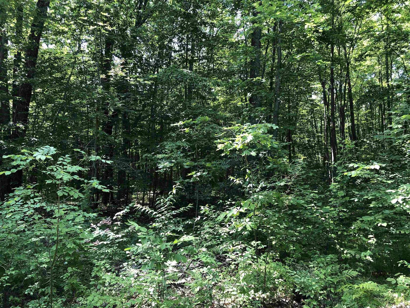 0.33 Acres of Land for Sale in Garfield Township, Michigan