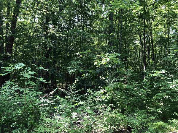 0.33 Acres of Land for Sale in Garfield Township, Michigan