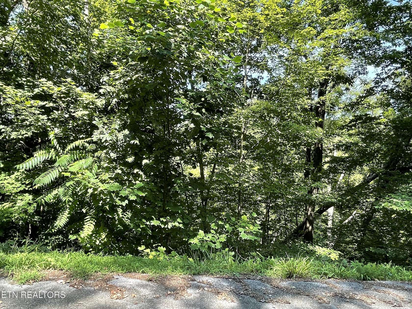 0.25 Acres of Mixed-Use Land for Sale in Baneberry, Tennessee