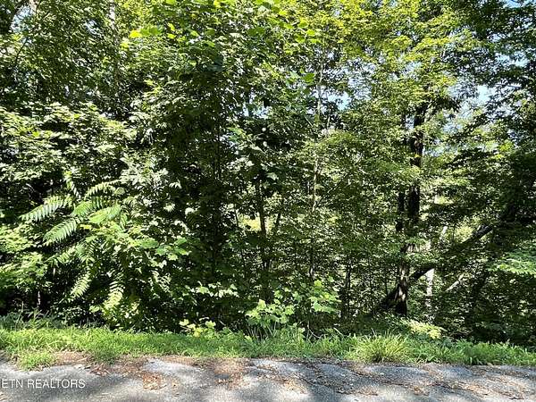 0.25 Acres of Mixed-Use Land for Sale in Baneberry, Tennessee