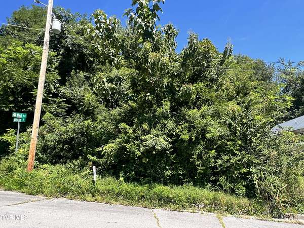 0.11 Acres of Residential Land for Sale in Kingsport, Tennessee
