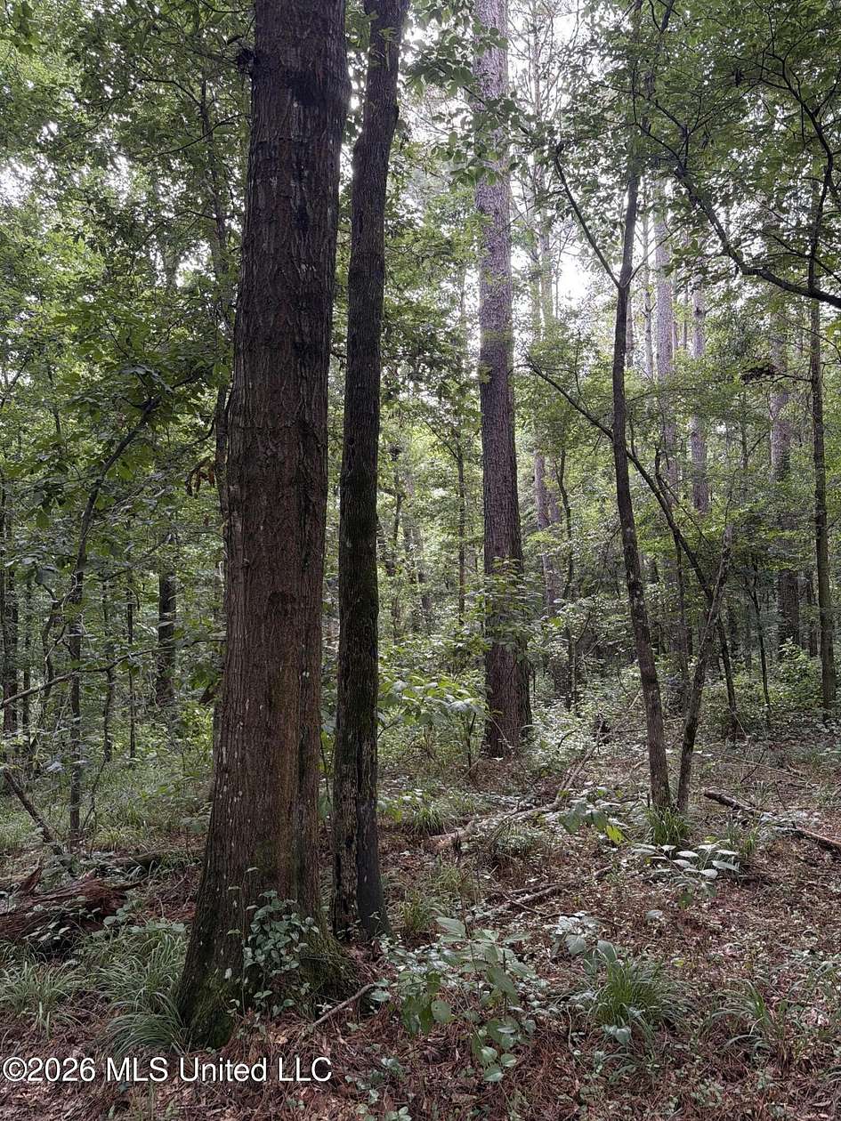 16 Acres of Land for Sale in Pelahatchie, Mississippi