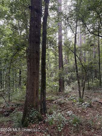 16 Acres of Land for Sale in Pelahatchie, Mississippi