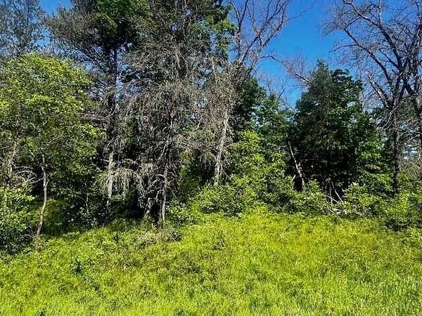 2.67 Acres of Residential Land for Sale in Irons, Michigan