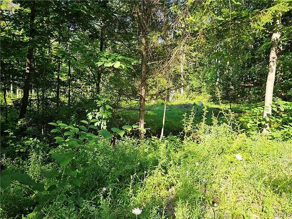 0.63 Acres of Land for Sale in Fenner, New York