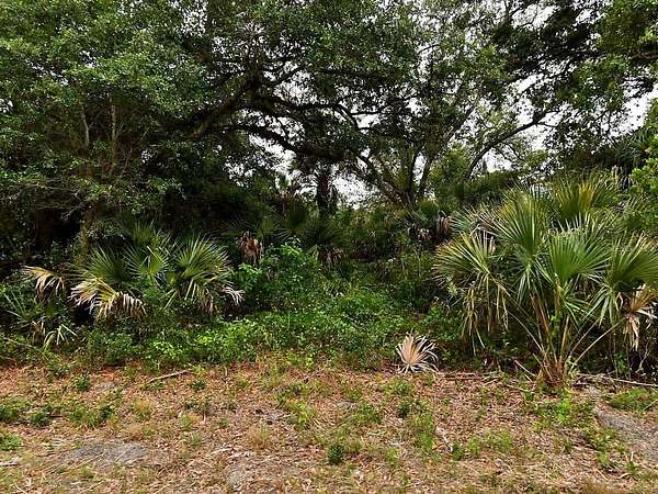 0.24 Acres of Residential Land for Sale in North Port, Florida