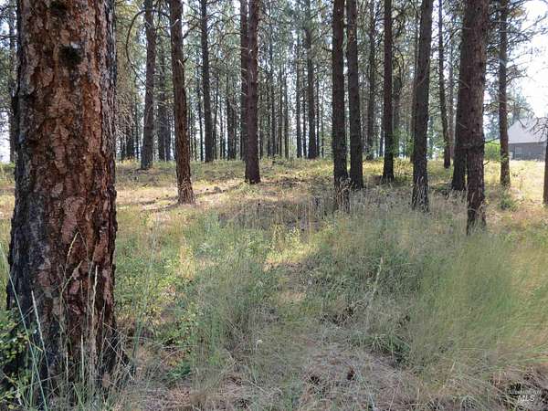 1.89 Acres of Residential Land for Sale in Garden Valley, Idaho