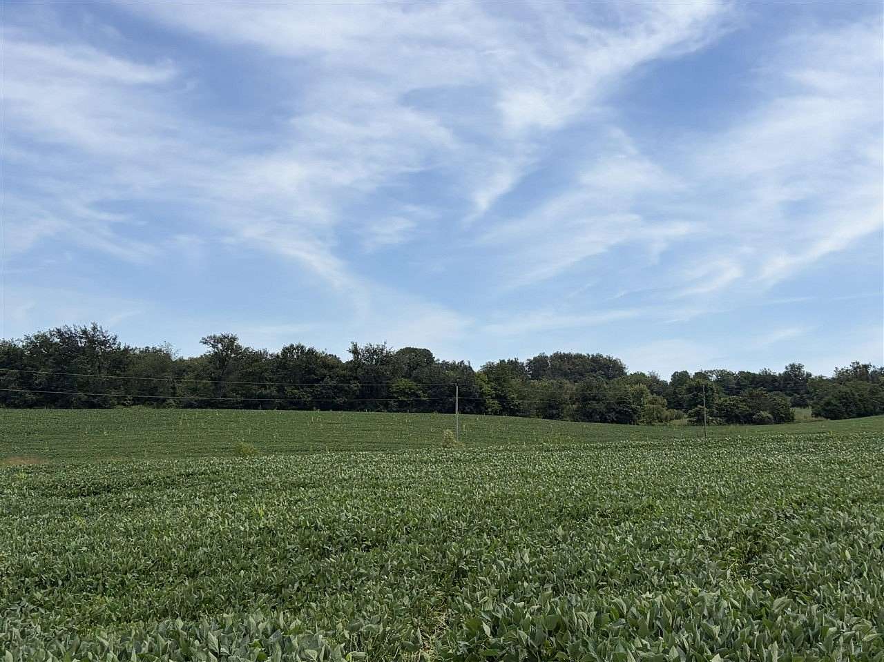 110 Acres of Land for Sale in Glasgow, Kentucky