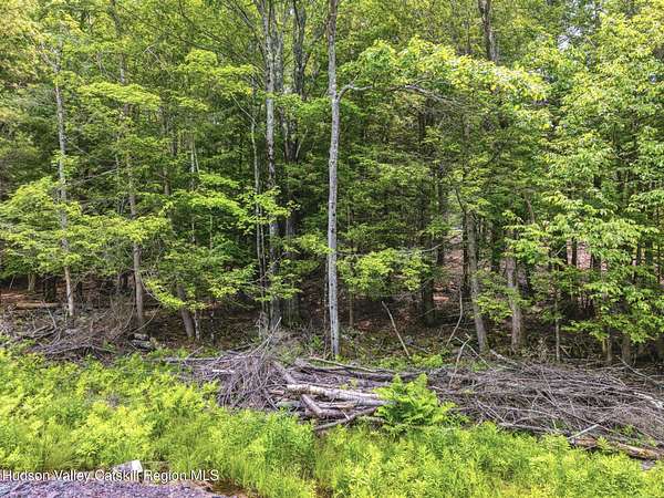 5.33 Acres of Residential Land for Sale in Windham, New York