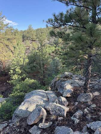 5 Acres of Residential Land for Sale in Cotopaxi, Colorado