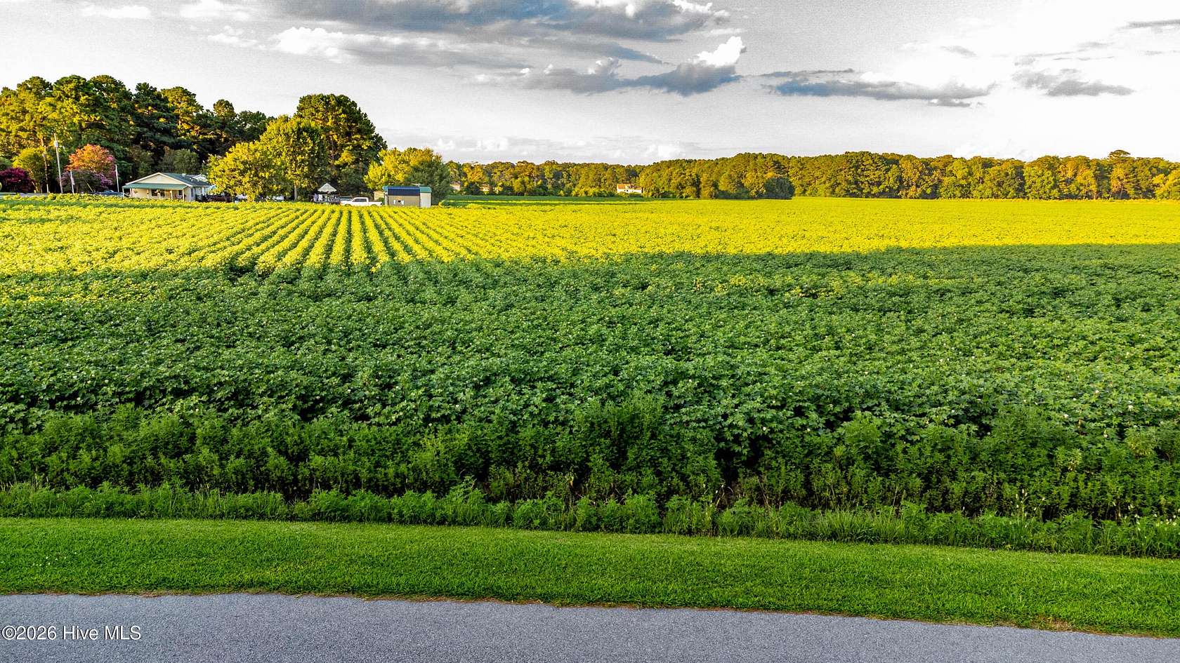 0.75 Acres of Residential Land for Sale in Hertford, North Carolina