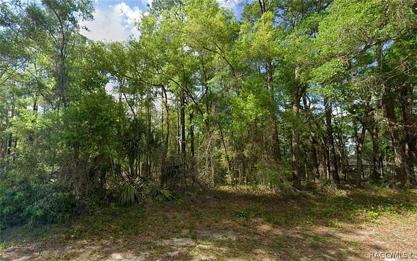 0.41 Acres of Residential Land for Sale in Citrus Springs, Florida