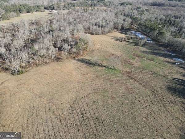 10 Acres of Residential Land for Sale in Zebulon, Georgia
