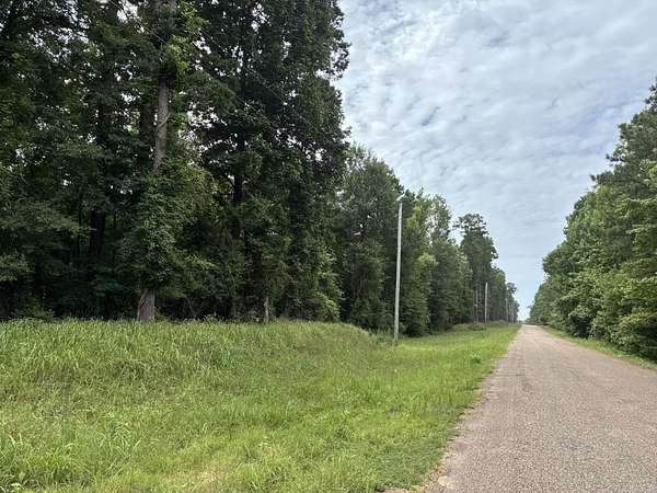 40 Acres of Recreational & Residential Land for Sale in Louann, Arkansas