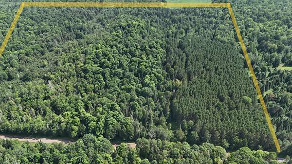 40 Acres of Recreational & Residential Land for Sale in Merrill, Wisconsin