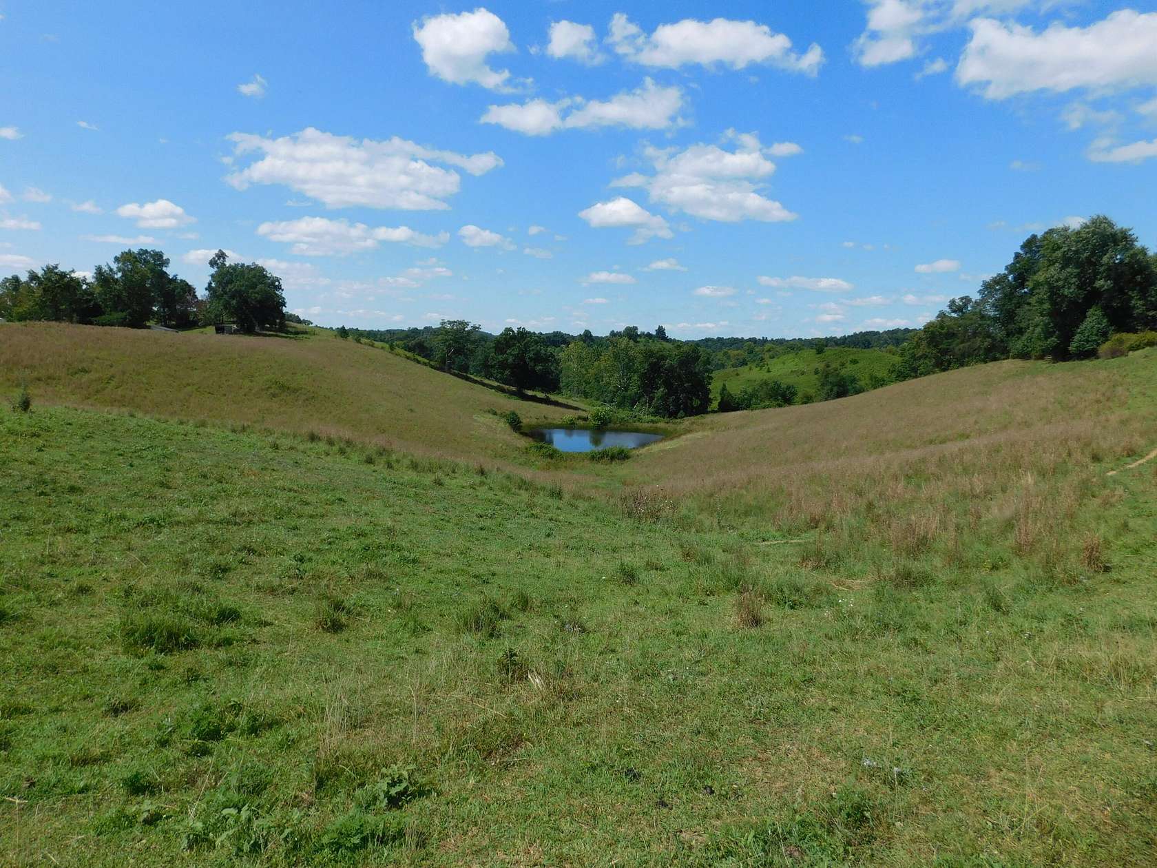 33 Acres of Land with Home for Sale in Ezel, Kentucky