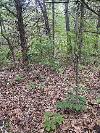 0.06 Acres of Residential Land for Sale in Shell Knob, Missouri