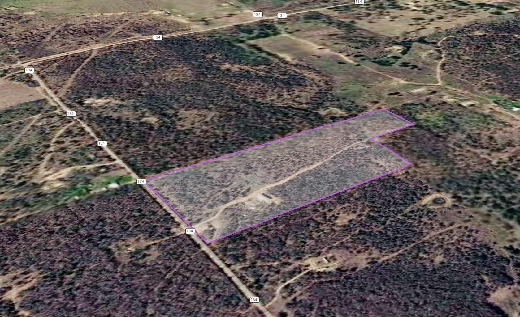 33 Acres of Recreational & Residential Land for Sale in Ranger, Texas