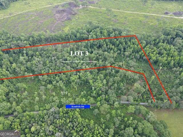 10.5 Acres of Land for Sale in Zebulon, Georgia