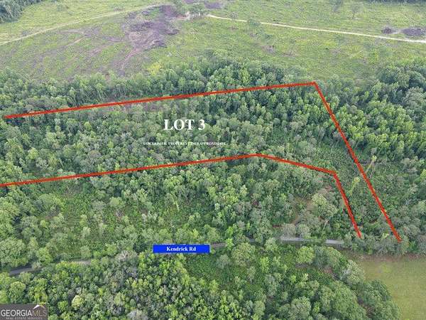 10.5 Acres of Land for Sale in Zebulon, Georgia