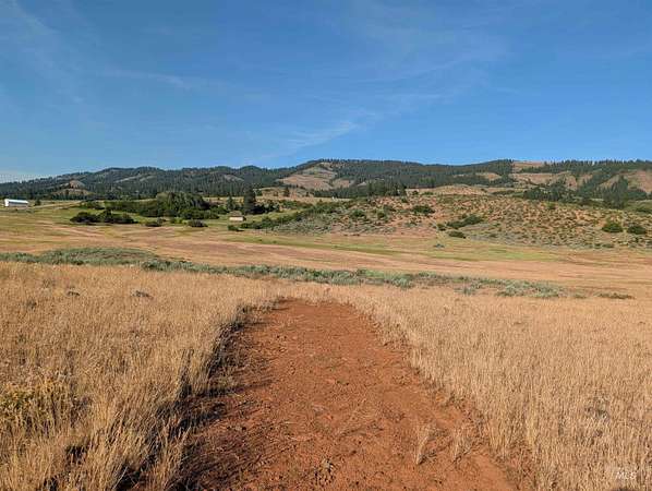 112 Acres of Recreational & Residential Land for Sale in Council, Idaho