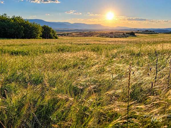 112 Acres of Recreational & Residential Land for Sale in Council, Idaho