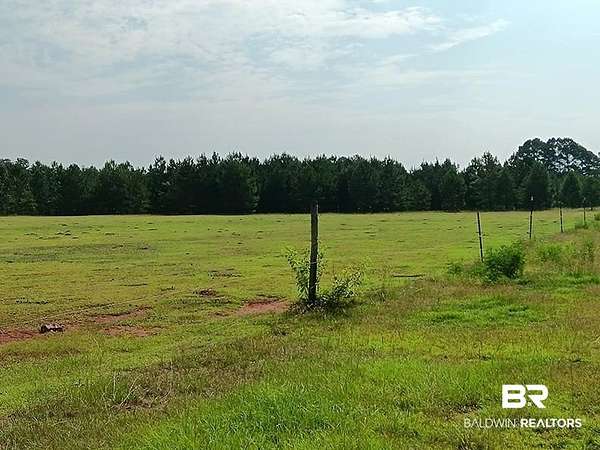 19 Acres of Land for Sale in Robertsdale, Alabama