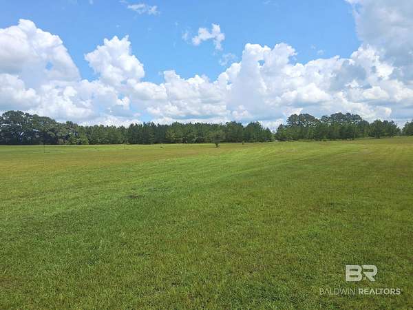 19 Acres of Land for Sale in Robertsdale, Alabama