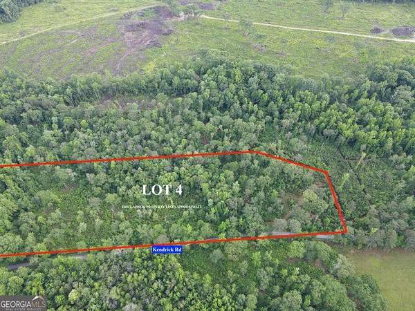 10.2 Acres of Land for Sale in Zebulon, Georgia