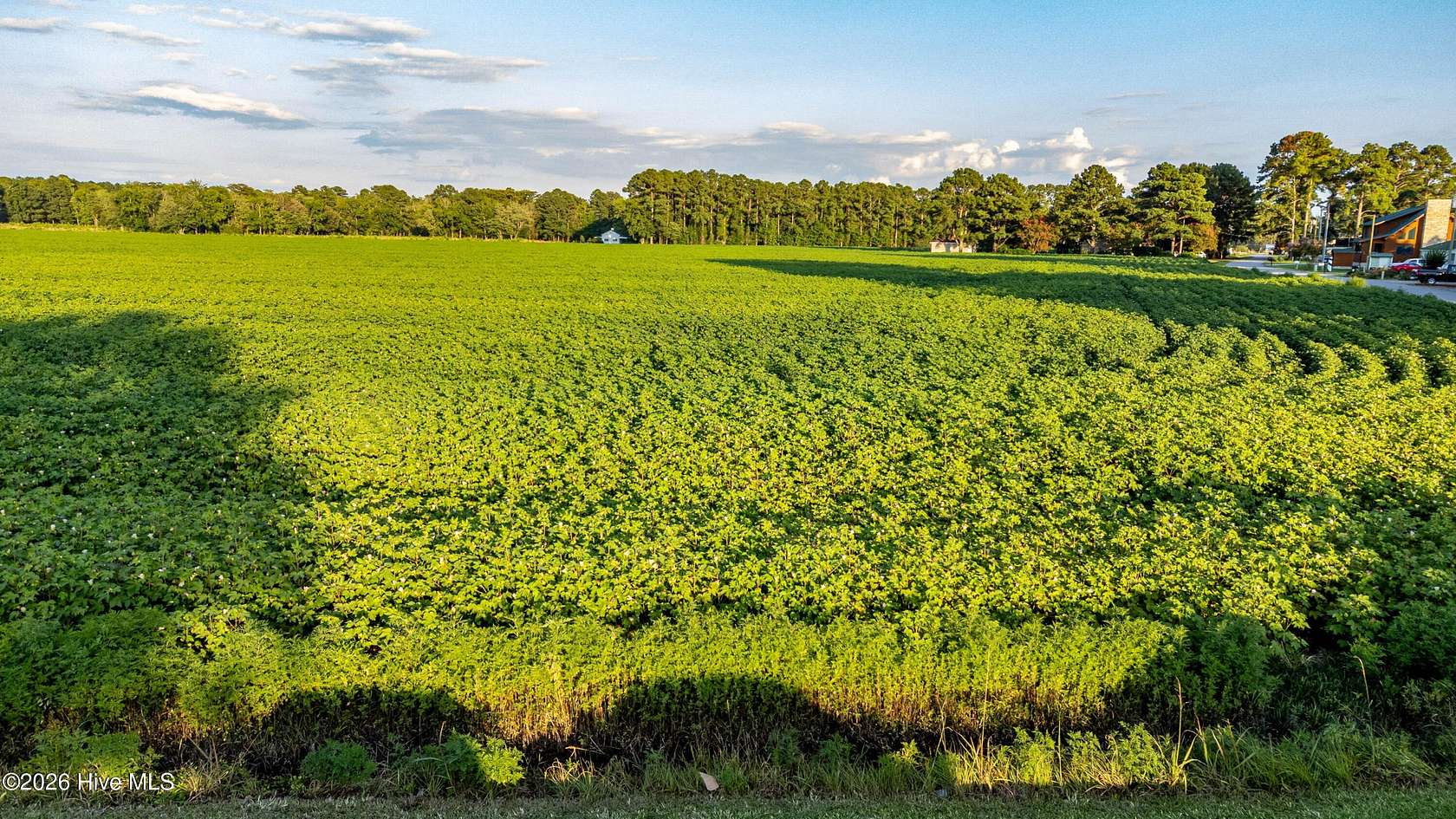 0.75 Acres of Residential Land for Sale in Hertford, North Carolina