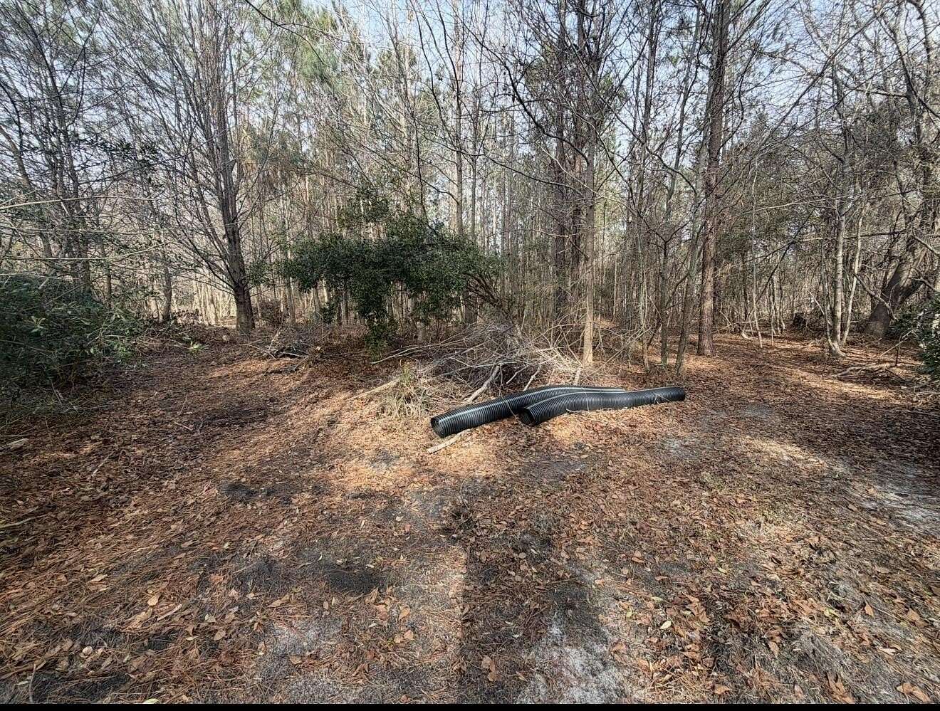 0.78 Acres of Residential Land for Sale in Elgin, South Carolina