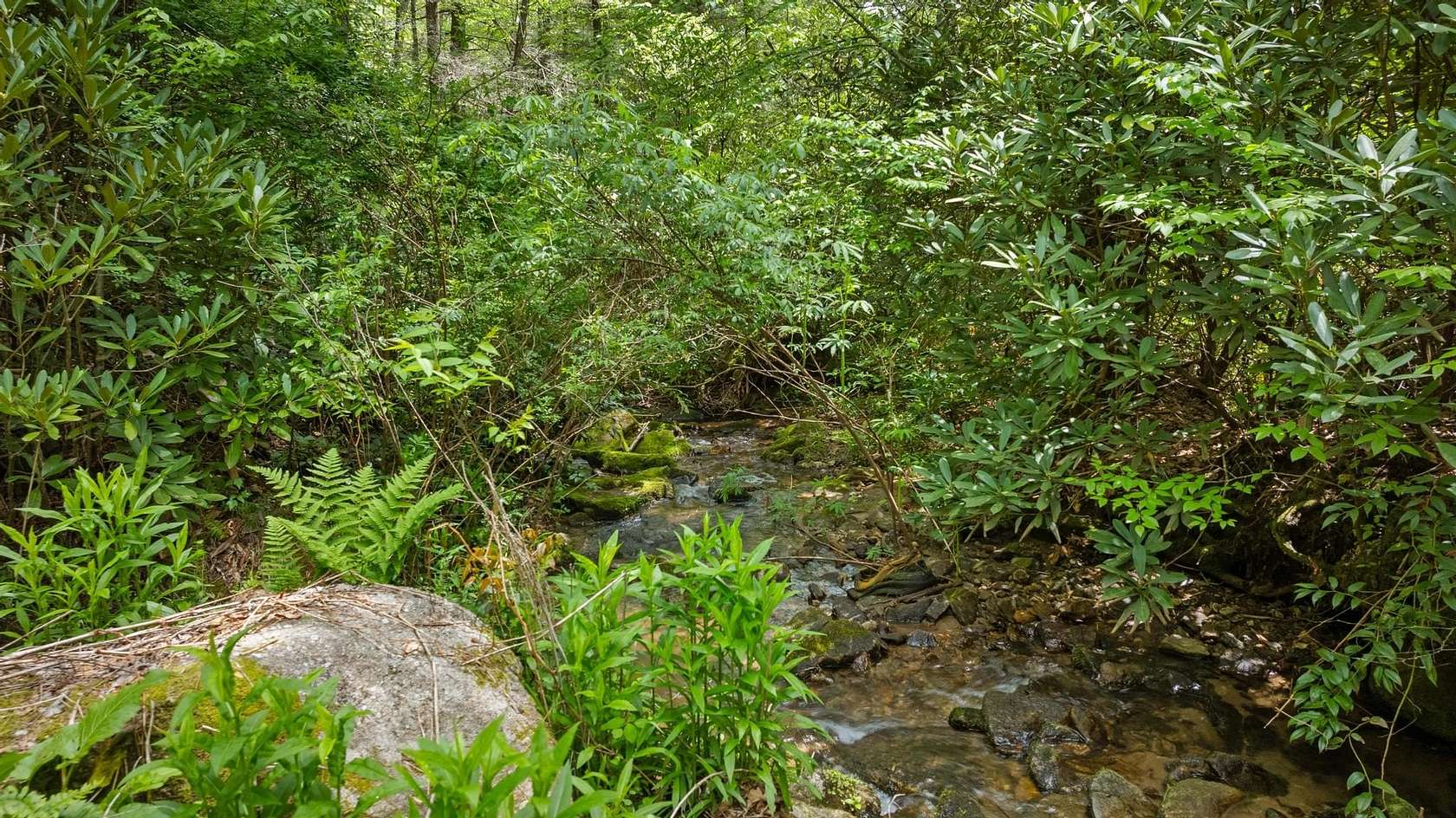 2 Acres of Residential Land for Sale in Highlands, North Carolina