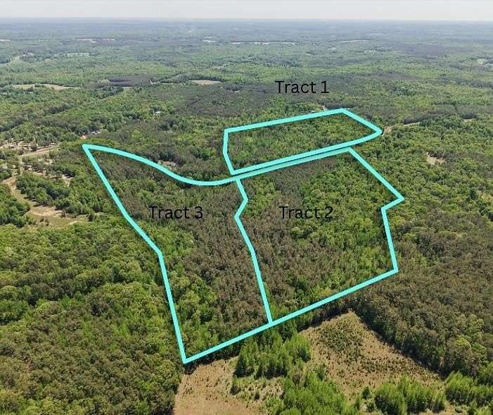 36.4 Acres of Recreational & Residential Land for Sale in Bethel Springs, Tennessee