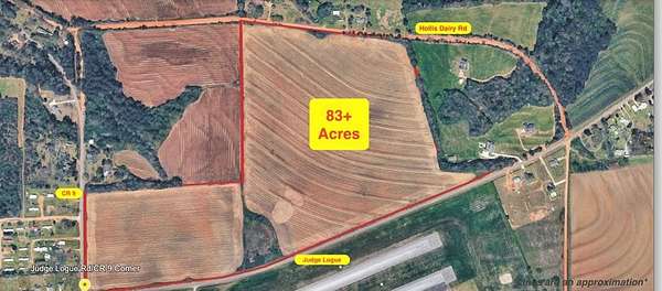 83.1 Acres of Land for Sale in Newton, Alabama