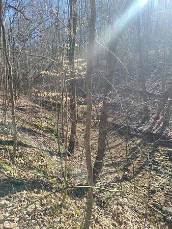 3.85 Acres of Residential Land for Sale in Eddyville, Kentucky