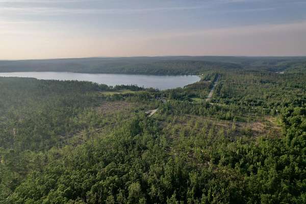 39.6 Acres of Recreational & Residential Land for Sale in Vanderbilt, Michigan