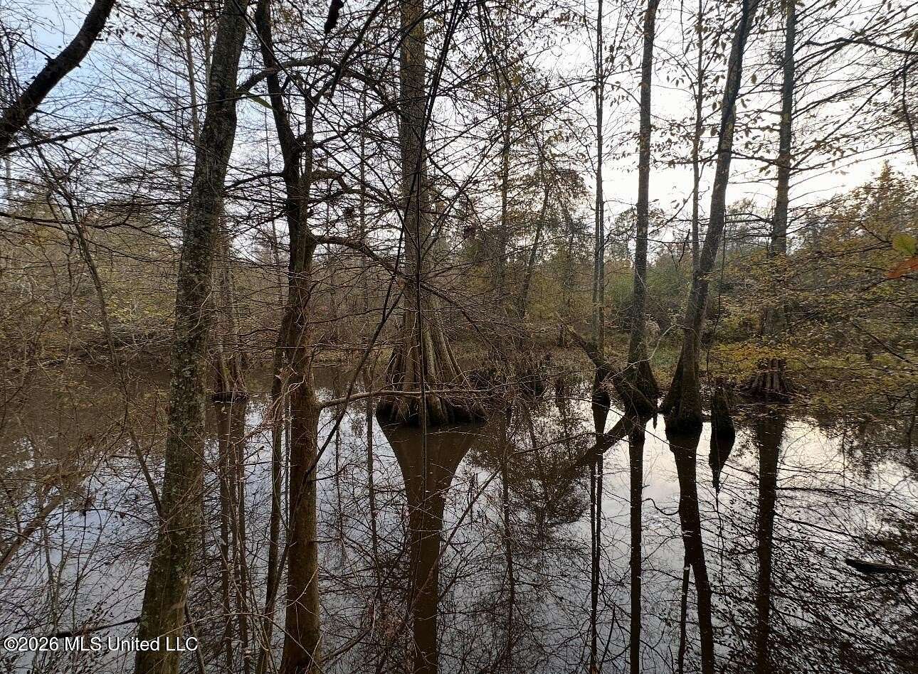 38.5 Acres of Recreational Land for Sale in Forest, Mississippi