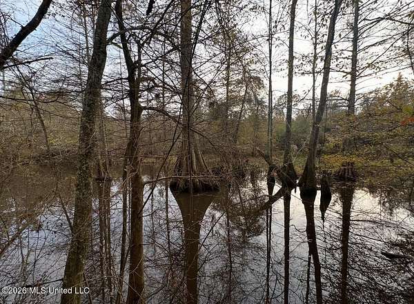 38.5 Acres of Recreational Land for Sale in Forest, Mississippi