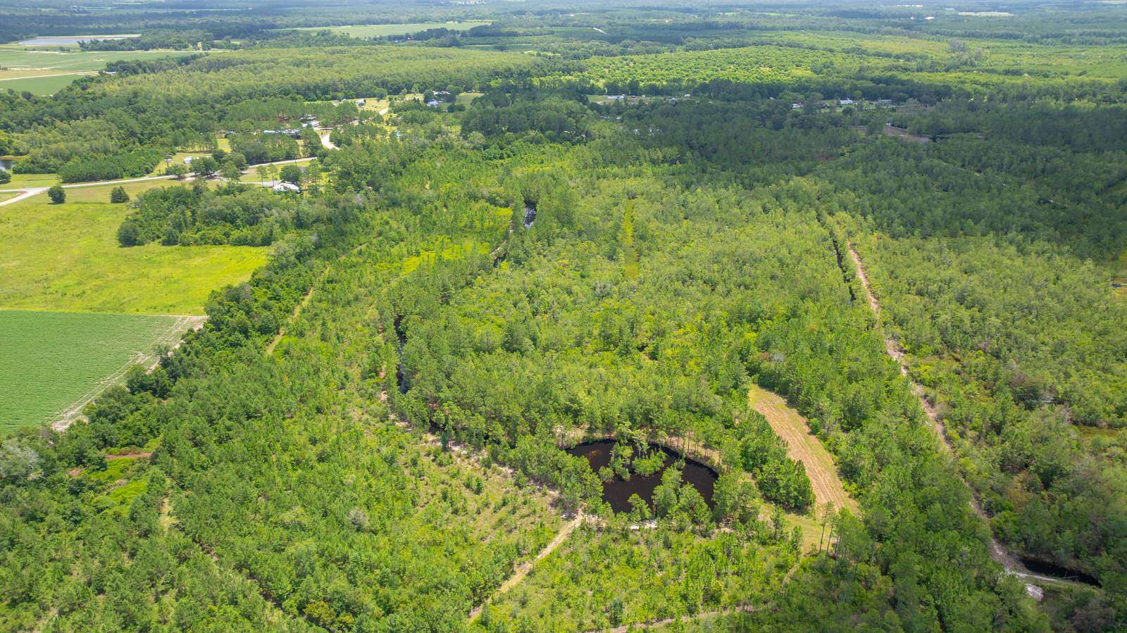 77 Acres of Recreational & Residential Land for Auction in Adel, Georgia