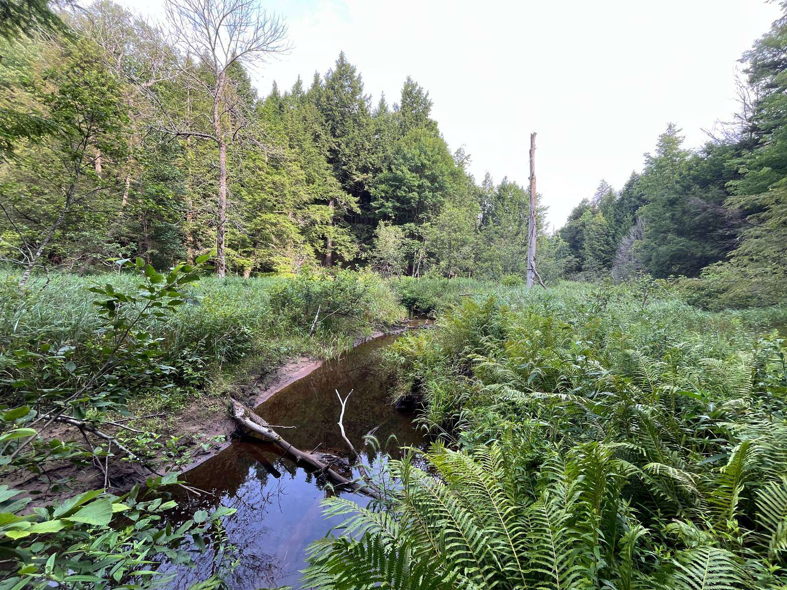 5 Acres of Land for Sale in Pitcairn Town, New York