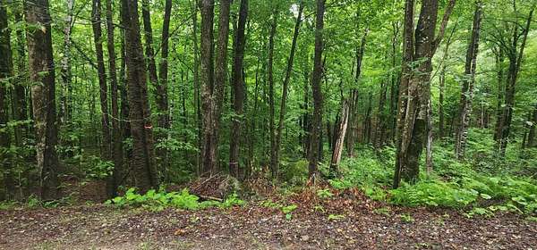 2.1 Acres of Residential Land for Sale in Stoddard, New Hampshire