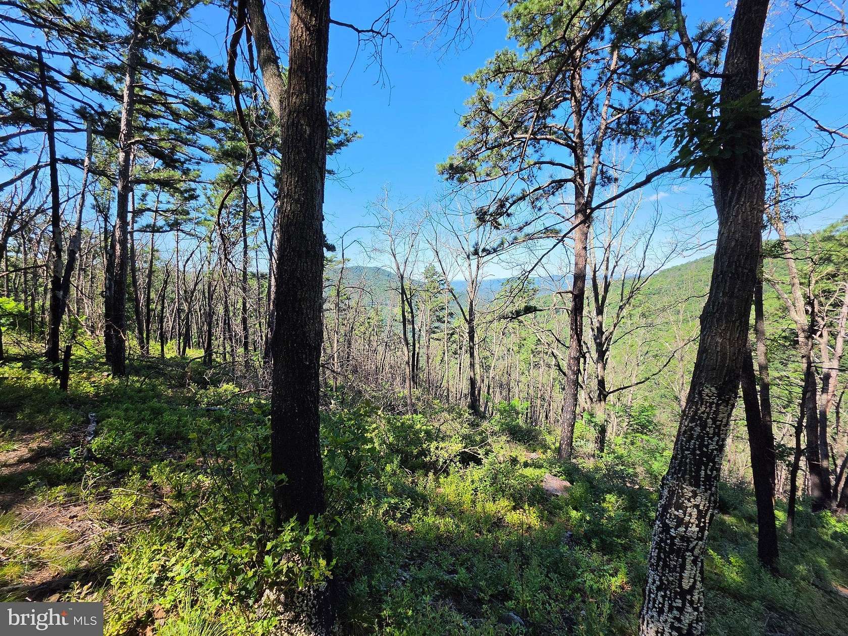 12.3 Acres of Recreational & Residential Land for Sale in Moorefield, West Virginia