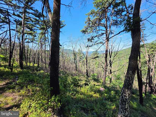 12.3 Acres of Recreational & Residential Land for Sale in Moorefield, West Virginia