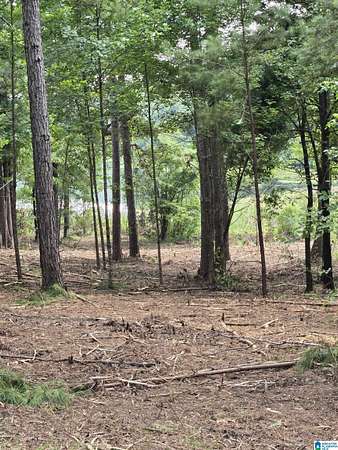 1.4 Acres of Residential Land for Sale in Sylacauga, Alabama