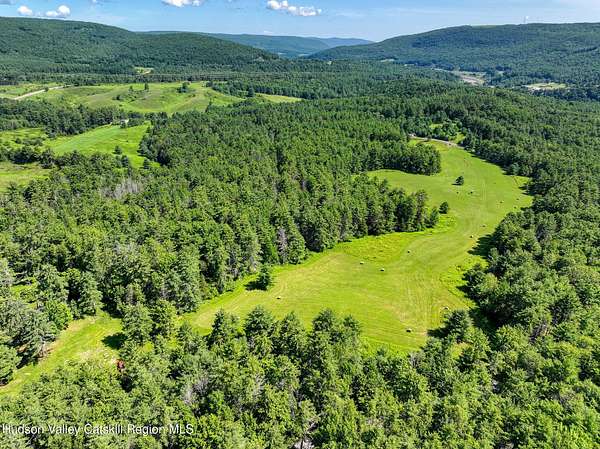 124 Acres of Land for Sale in Gilboa, New York