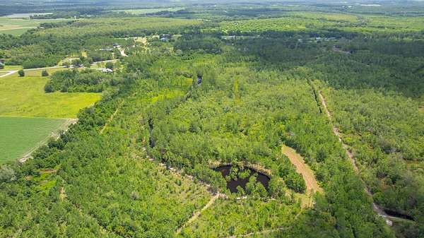 77 Acres of Recreational & Residential Land for Sale in Adel, Georgia