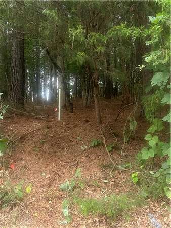 5.85 Acres of Residential Land for Sale in Taylorsville, Georgia